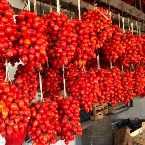 Pomodori in conserva