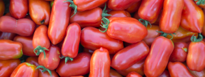 Pomodori San Marzano dell'Agro Sarnese Nocerino Dop Pelati Biologici 520 g - immagine 7