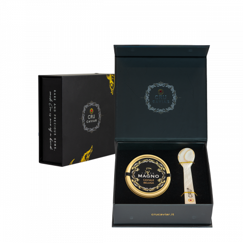 BELUGA EXCLUSIVE BOX