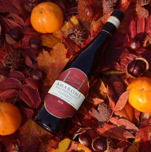AMARONE DELLA VALPOLICELLA CLASSICO  DOCG "TERRE DEL DOGADO" - immagine 2