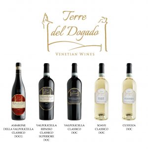 SOAVE CLASSICO DOC "TERRE DEL DOGADO" - immagine 3